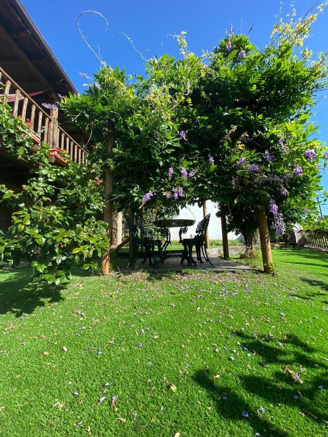 Casa Do Pomar Konuk evi Bragança Dış mekan fotoğraf