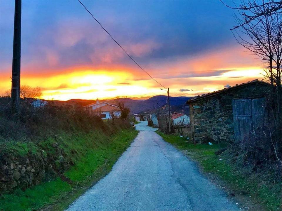 Casa Do Pomar Konuk evi Bragança Dış mekan fotoğraf