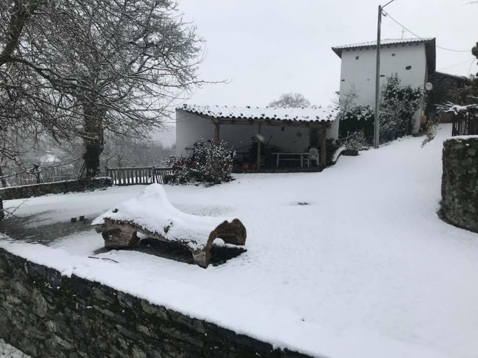 Casa Do Pomar Konuk evi Bragança Dış mekan fotoğraf